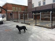 Jack and Mesh Panel Fence